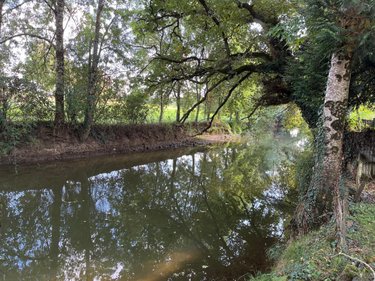 Maison a vendre Montbizot 72380 Sarthe 90 m2 4 pièces 183100 euros