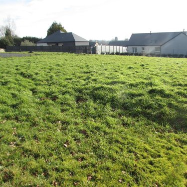Terrain a batir a vendre La Colombe 50800 Manche 789 m2  32160 euros