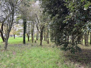 Maison a vendre Bangor 56360 Morbihan 175 m2 8 pièces 776250 euros