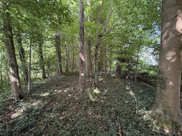 Terrains de loisirs bois etangs a vendre Vers sur Selle 80480 Somme 1710 m2  7500 euros