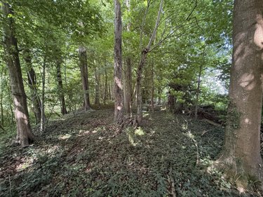 Terrains de loisirs bois etangs a vendre Vers sur Selle 80480 Somme 1710 m2  7500 euros