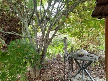 Maison a vendre Lougres 25260 Doubs 211 m2 8 pièces 199000 euros