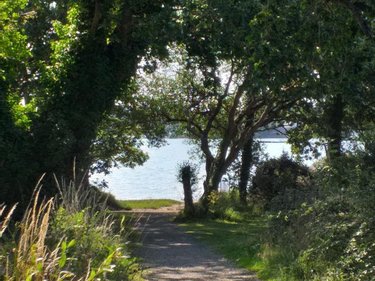 Terrain a batir a vendre Baden 56870 Morbihan 56 m2  279472 euros