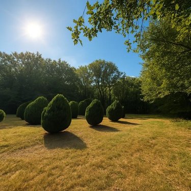 Maison a vendre Longuenée-en-Anjou 49770 Maine-et-Loire 520 m2 18 pièces 1090000 euros