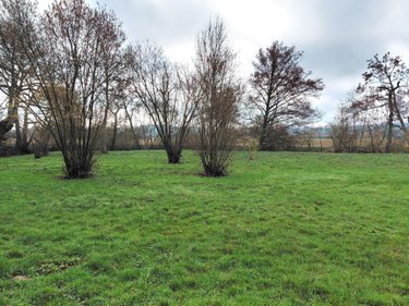 Maison a vendre Cour-Maugis-sur-Huisne 61110 Orne 60 m2 4 pièces 54000 euros