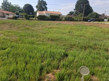 Terrain a batir a vendre Corme-Royal 17600 Charente-Maritime 434 m2  44060 euros