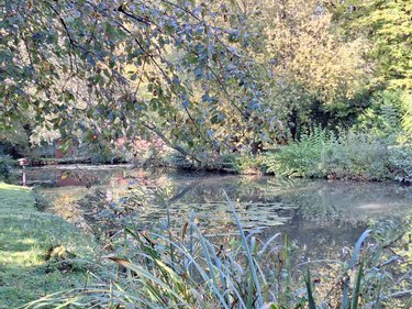 Terrains de loisirs bois etangs a vendre Beaucourt-sur-l'Ancre 80300 Somme 2719 m2  63800 euros