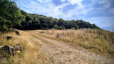 Divers a vendre Freigné 44540 Loire-Atlantique 671 m2  270400 euros