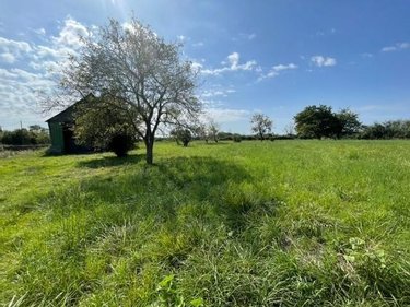 Terrains de loisirs bois etangs a vendre Noyen-sur-Sarthe 72430 Sarthe 3530 m2  32400 euros
