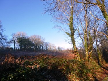 Maison a vendre Ploërdut 56160 Morbihan 150 m2 7 pièces 407750 euros
