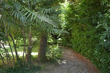 Maison a vendre Aubenas 07200 Ardèche 360 m2 13 pièces 725500 euros