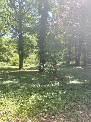 Maison a vendre Marchenoir 41370 Loir-et-Cher 231 m2 6 pièces 609000 euros