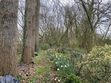 Maison a vendre Plouëc-du-Trieux 22260 Côtes-d'Armor 97 m2  105970 euros