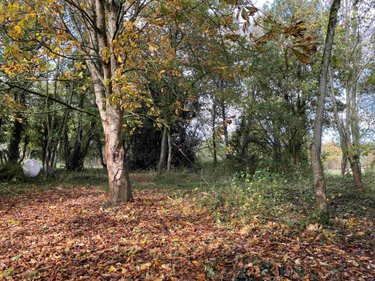 Maison a vendre Montreuil-au-Houlme 61210 Orne 85 m2 3 pièces 75050 euros