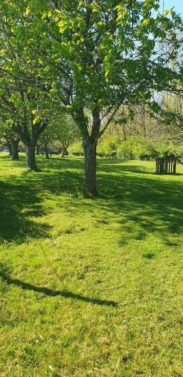 Terrains de loisirs bois etangs a vendre Cussey-sur-l'Ognon 25870 Doubs 3352 m2  17500 euros
