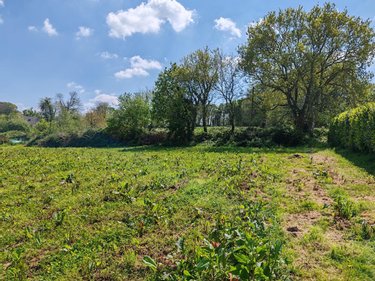 Terrain a batir a vendre Pleyber-Christ 29410 Finistère 1203 m2  51120 euros