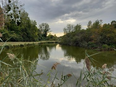 Divers a vendre Muret-et-Crouttes 02210 Aisne 8000 m2  69600 euros