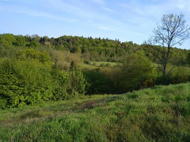 Terrain a batir a vendre La Trinité-de-Réville 27270 Eure 3668 m2  29680 euros