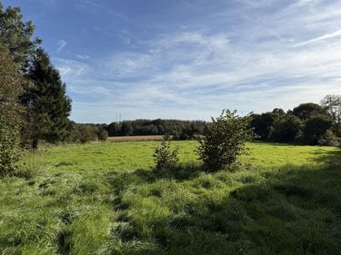 Maison a vendre Plémet 22210 Côtes-d'Armor 73 m2  99900 euros