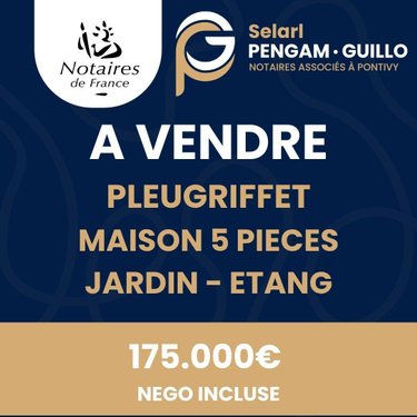 Maison a vendre Pleugriffet 56120 Morbihan 116 m2 5 pièces 175000 euros