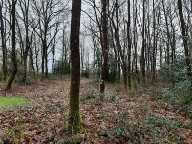 Terrains de loisirs bois etangs a vendre Étriché 49330 Maine-et-Loire 9080 m2  6890 euros