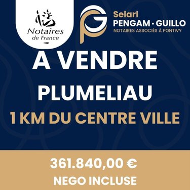 Maison a vendre Pluméliau-Bieuzy 56930 Morbihan 223 m2 6 pièces 361840 euros