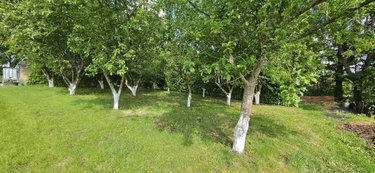 Maison a vendre Plogonnec 29180 Finistère 340 m2 14 pièces 377000 euros