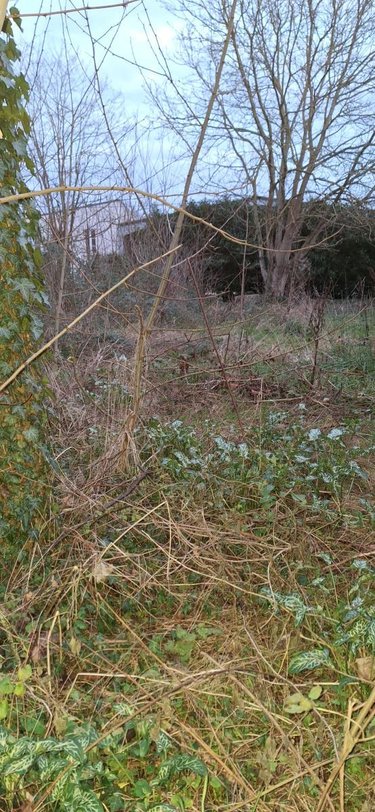 Terrain a batir a vendre Villemandeur 45700 Loiret 643 m2  52000 euros