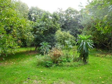 Maison a vendre Plouarzel 29810 Finistère 136 m2 6 pièces 312000 euros