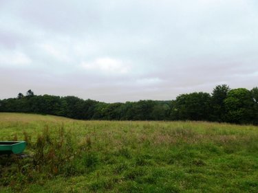 Terrains de loisirs bois etangs a vendre Plouray 56770 Morbihan 28430 m2  15990 euros