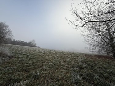 Terrain a batir a vendre Romain 51140 Marne 689 m2  70000 euros