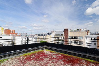 Appartement a vendre Paris 14e arrondissement 75014 Paris 132 m2 4 pièces 2080000 euros