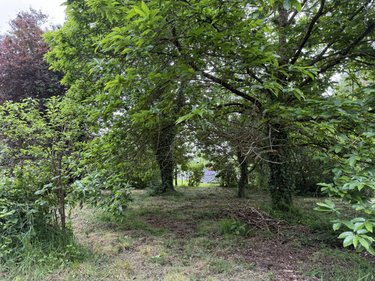 Maison a vendre Le Merzer 22200 Côtes-d'Armor 76 m2  64320 euros