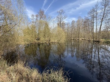 Terrains de loisirs bois etangs a vendre Glisy 80440 Somme 15055 m2  110000 euros