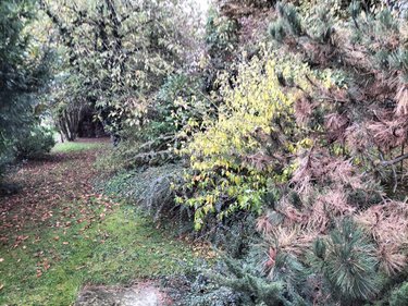 Maison a vendre Férin 59169 Nord 95 m2 5 pièces 242700 euros