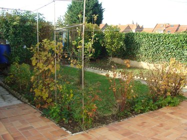 Maison a vendre Dourges 62119 Pas-de-Calais 79 m2 5 pièces 127000 euros