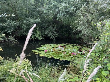 Maison a vendre Saint-Agathon 22200 Côtes-d'Armor 110 m2 7 pièces 283680 euros