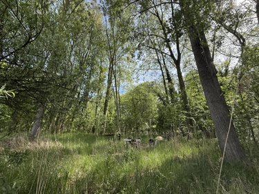 Terrains de loisirs bois etangs a vendre Daours 80800 Somme 7080 m2  28000 euros