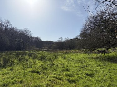 Terrains de loisirs bois etangs a vendre Pleyber-Christ 29410 Finistère 37739 m2  18000 euros