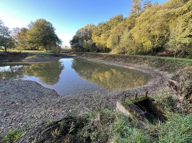 Terrains de loisirs bois etangs a vendre Plumaudan 22350 Côtes-d'Armor 5908 m2  39700 euros