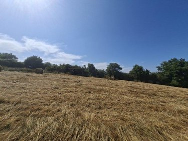 Terrains de loisirs bois etangs a vendre Thorigné-en-Charnie 53270 Mayenne 21918 m2  24760 euros