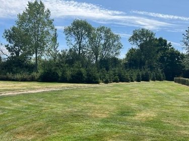 Maison a vendre Livarot-Pays-d'Auge 14140 Calvados 167 m2 7 pièces 780999 euros