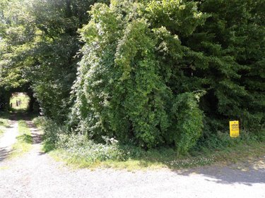 Terrains de loisirs bois etangs a vendre Diéval 62460 Pas-de-Calais 4103 m2  13000 euros