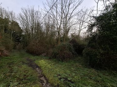 Terrains de loisirs bois etangs a vendre Ames 62190 Pas-de-Calais 1163 m2  28000 euros