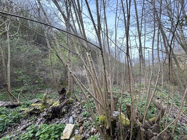 Divers a vendre Corbie 80800 Somme 7990 m2  17000 euros