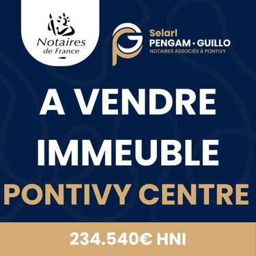 Immeuble a vendre Pontivy 56300 Morbihan 314 m2  234540 euros