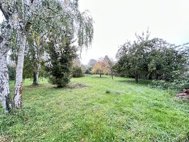 Maison a vendre Comblessac 35330 Ille-et-Vilaine 55 m2 3 pièces 84500 euros