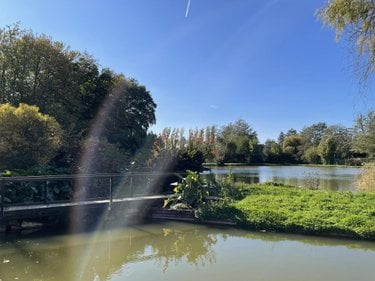 Maison a vendre Montjean 53320 Mayenne 112 m2  275000 euros