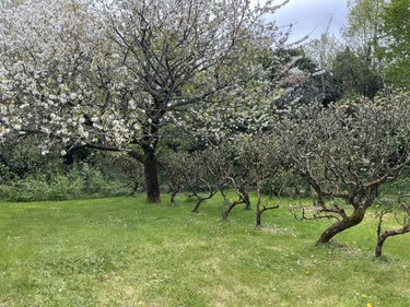 Maison a vendre Vannes 56000 Morbihan 110 m2 5 pièces 312900 euros