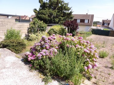 Maison a vendre Noeux les Mines 62290 Pas-de-Calais 59 m2  54500 euros